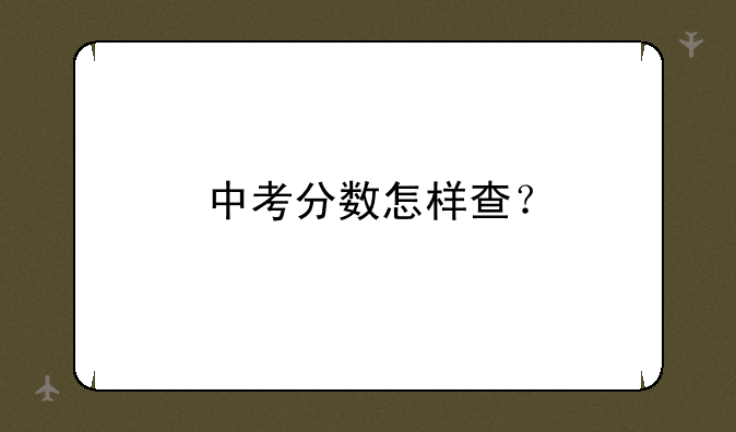 中考分数怎样查？