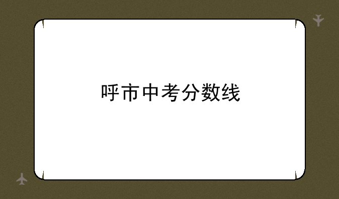 呼市中考分数线