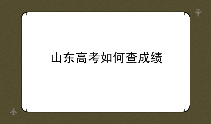 山东高考如何查成绩