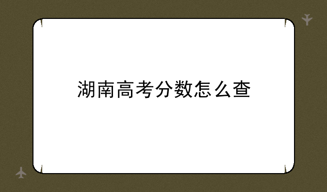 湖南高考分数怎么查
