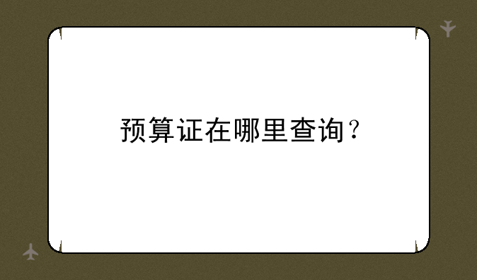 预算证在哪里查询？