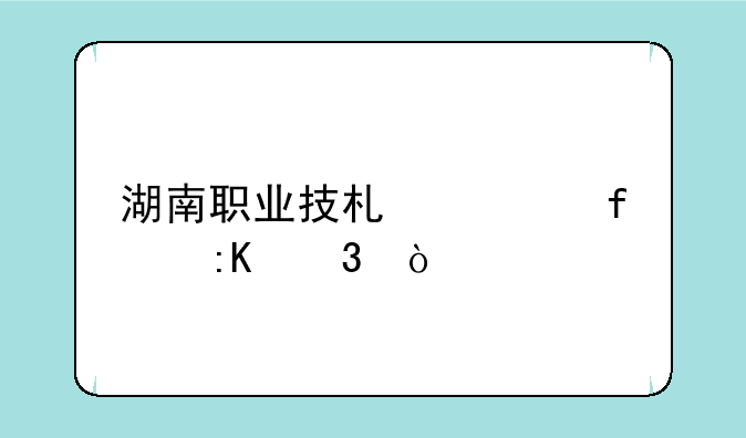 湖南职业技术学院排行？