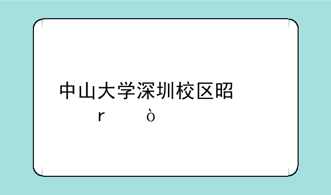 中山大学深圳校区是几本？