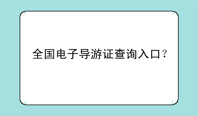全国电子导游证查询入口？