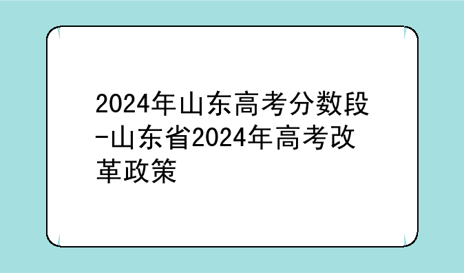 2024年山东高考分数段-山东省2024年高考改革政策